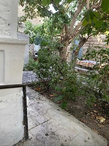 yeni ramanada ev: Həyətyanı sahəsi olan kiçik ev - Həyətdə şaquli dayaqlı — 5