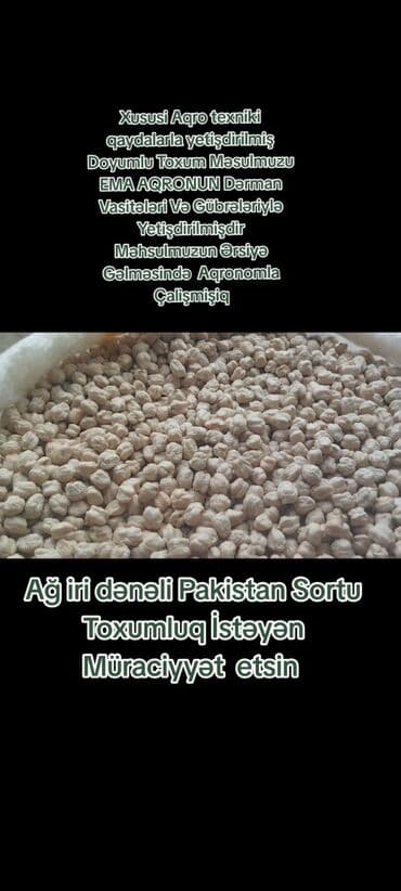 işlənmiş yolka: Ağ iri dənəli noxud – Pakistan sortu (toxumluq) - Xüsusi aqrotexniki — 1