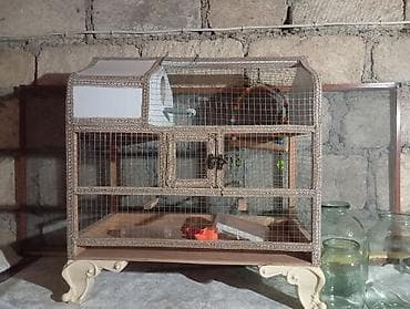 ucuz keci: Əl işı quş qəfəsi - Material: taxta karkas, incə tor şəbəkə — 2