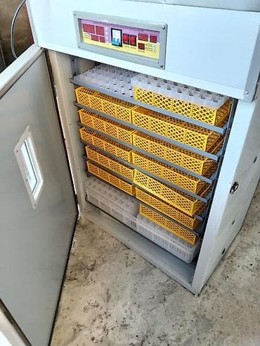 Аренда оборудования: 1500 яиц, Полностью автоматическая — 7