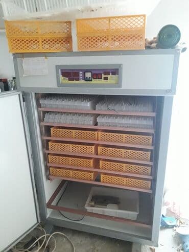 dərman ciləyən aparat: 1100 yumurta, Fabrik istehsalı, Tam avtomat, Bütün növ quşlaq üçün — 3