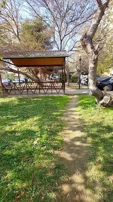 bakide kiraye evler: TECILI. AZADLIGIN EN GOZEL YERINDE. BİNA TAM YASHILLIQ OLAN YERDE — 10