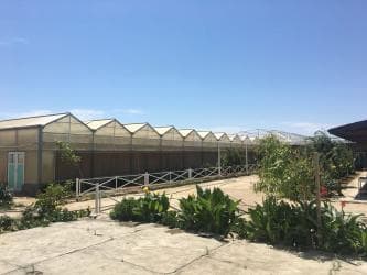 turkanda ev: Bakı, Türkan qəs., 1500 kv. m, 7 otaqlı, Hovuzlu, Qaz, İşıq, Su — 4