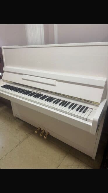 прокат плейстейшен 5: Пианино, Petrof, Акустический — 1