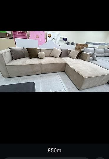 dekorativ otaq bitkiləri: Divan, Divan — 4