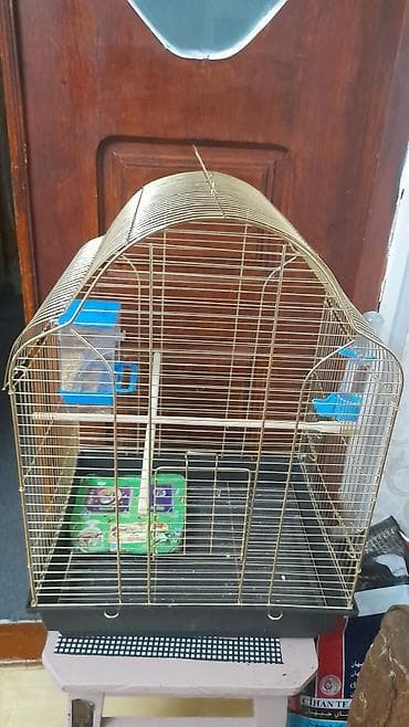 sfinks satilir: Karella saxlamaq ucun boyuk qefes. ölçüleri eni 40 sm,hündürlüyü 55 — 2