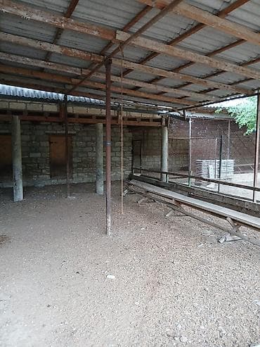 təcili satılan həyət evləri: 40 sot, Kənd təsərrüfatı, Mülkiyyətçi — 9