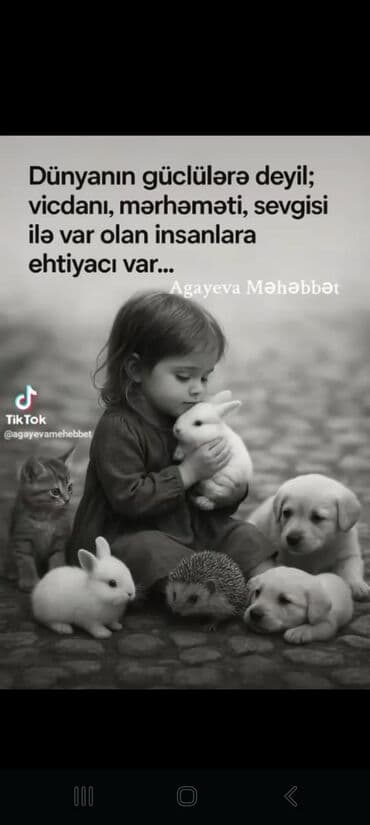 ev heyvanlarl: Erkək, Yaxşı əllərə, Ünvandan götürmə — 1