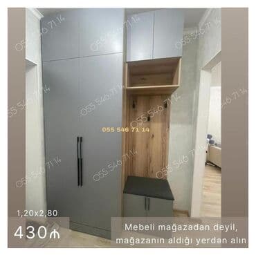 Düz dolab, Dəhliz üçün, Qarderob, Açılan, Korpuslu, 2 qapılı