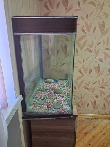 İtlər: Dördbucaq akvarium, Boş, 180 l, Ünvandan götürmə — 2