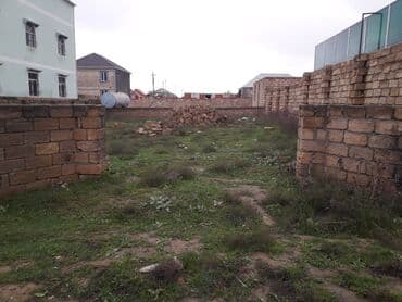 bineqedi dsmf: 4 sot, Tikinti, Mülkiyyətçi, Kupça (Çıxarış) — 1