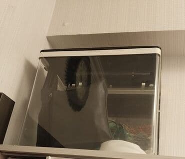 akvarum balıqları: Cox islenmeyib teze akvarumdu 051888 88 73 — 2