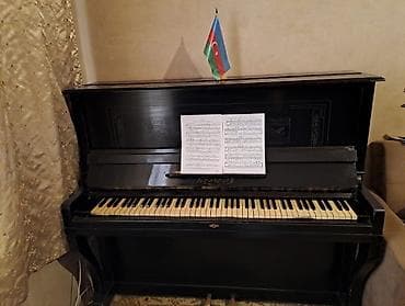 Piano, Belarus, Akustik