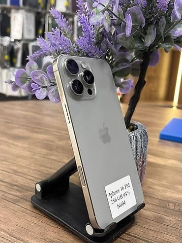 iphone 5s telefon: IPhone 16 Pro Max, 256 GB, Gümüşü, Face ID — 2