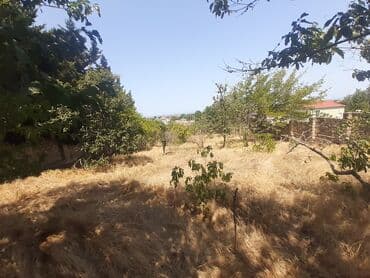 tap az bag evleri pirsagida: Bakı, Görədil, 65 kv. m, 1 otaqlı, Hovuzsuz, Qaz, Su, Kanalizasiya — 18