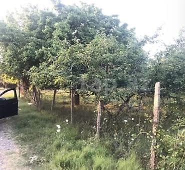 bakıda ucuz kiraye evler 2022: Tikinti — 2