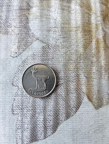 BƏƏ 25 fils sikkəsi - Mənşə: United Arab Emirates (Birləşmiş Ərəb