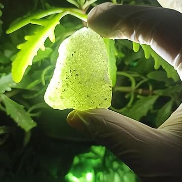 ev aboylari 2020: Təbii Yaşıl Kristal Daş Satılır | Hədiyyə və Kolleksiya üçün Enerji — 7