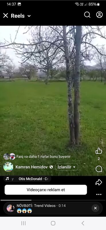 lokbatanda torpaq satilir 2022: Kənd təsərrüfatı, Mülkiyyətçi, Kupça (Çıxarış) — 3
