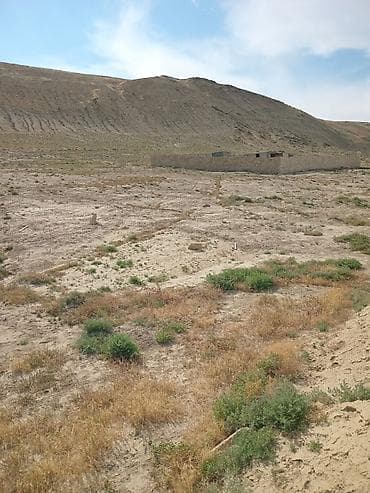 basavik satisi: 5 sot — 4