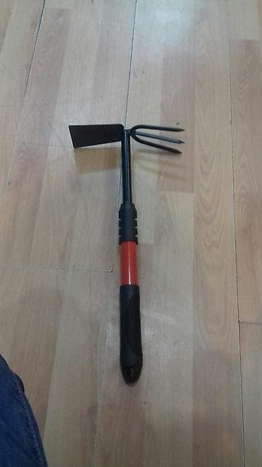 baliq topdan satis: Super keyfiyyet bağ üçün qiymet 6 man çox götürene endirim var — 4