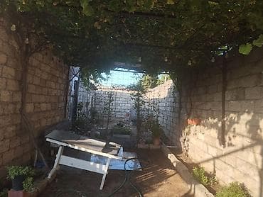 Bakı, Buzovna, 45 kv. m, 2 otaqlı, Kombi, Qaz, İşıq lalafo.az -da Bakı, Buzovna, 45 kv. m, 2 otaqlı, Kombi, Qaz, İşıq