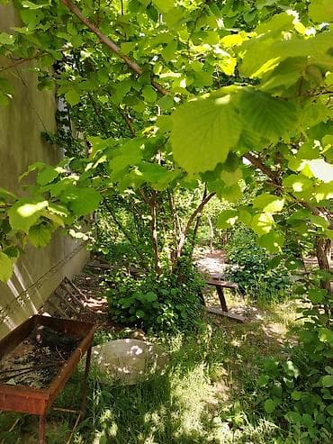 sumqayitda ucuz torpaq satilir: 3 otaqlı, 156 kv. m, Kredit yoxdur, Yeni təmirli — 8