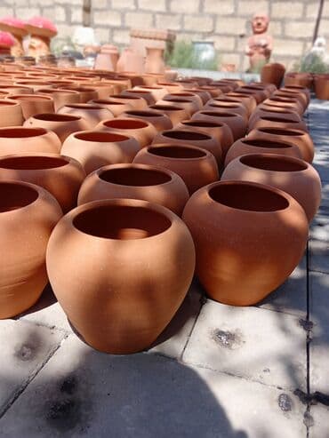 dibceklerin satisi: Salam hündürlük 13 sm dibcek - 4.50 manat hündürlük 15 sm dibçək - 60 — 12