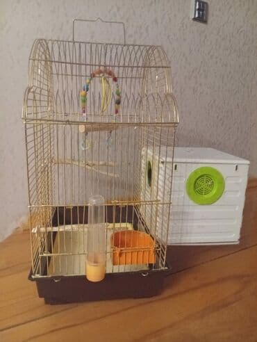 amadin quşu: Quş qəfəsi və aksesuarlar. Qefes satılır yeni kimidiraz istifade — 5