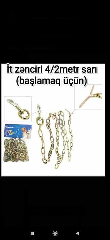 alcipan satilir: Zəncir topdan satış — 1