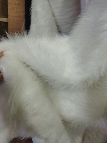 постельное белье азербайджан: Divan usdu mexlermiz, Reklamcinda taxçinda gedir.enleri 2 metirdi — 4