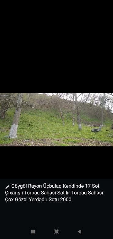 Tikinti, Kupça (Çıxarış)