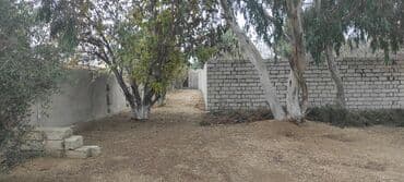 lenkeranda torpaq: 7 sot, Tikinti, Kupça (Çıxarış) — 7