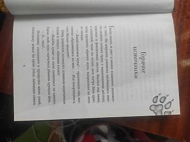 Velosiped ehtiyyat hissələri: Məhsul: Kitab – “Дети леса. Тайна Холли” (Meşə Uşaqları. Hollinin — 3