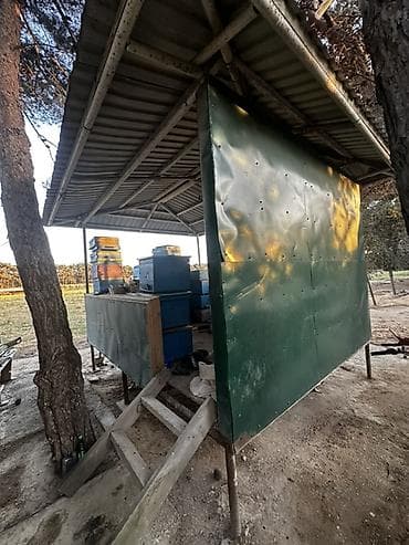seki torpaq: Meşə zolağına bitişik, geniş həyəti olan bağ evi və sahəsi — 9