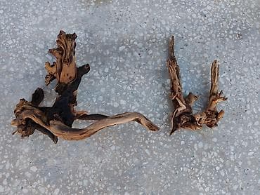 alpin kecisi: Dragon daşları, Koregalar, Akvaryum dekoru üçün təbii materiallar — 5