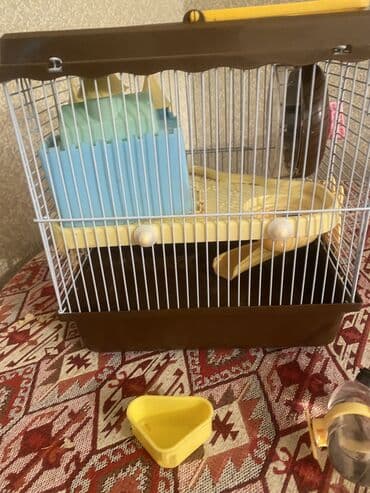 it evi satilir: Xomyak üçün komplekt qəfəs - Material: möhkəm metal barmaqlıqlar — 3