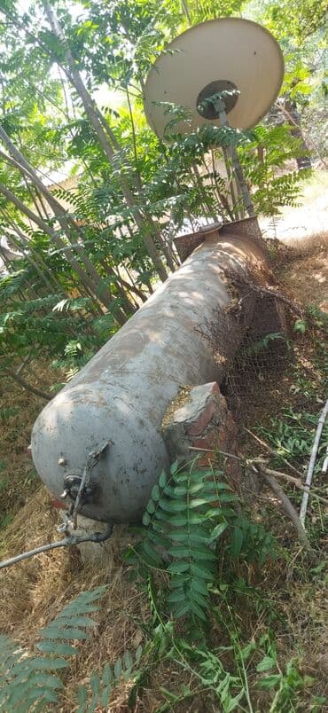 Семена: Бак, Металл — 3