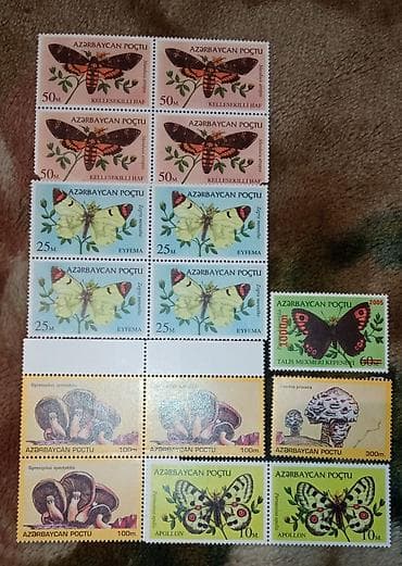 жако цена: Markalar biri 50 gepik — 3