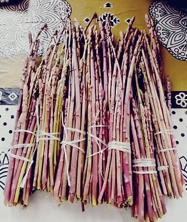 qida məhsullarının topdan satışı: Məhsul: Təbii yığılan yabanı quşqonmaz (asparagus) dəstələri Salam — 3
