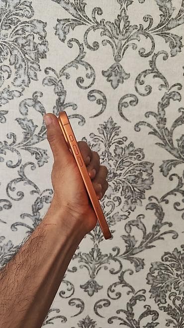 iphone 11 sarı: IPhone 17 Pro Max, 256 GB, Narıncı, Face ID — 5