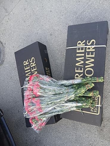 Qerenfil turk 70 qep