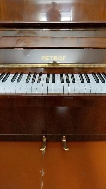 Piano, Petrof, Akustik, Yeni — 1