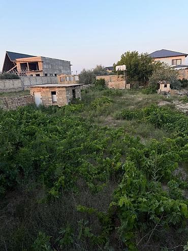 topaq: 2 sot, Tikinti, Mülkiyyətçi, Kupça (Çıxarış) — 3
