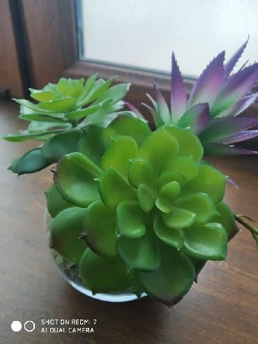 цветы искусственные: ИКЕА дерокация : 3 каменных цветка (искусственные).,щебень зелёного — 4