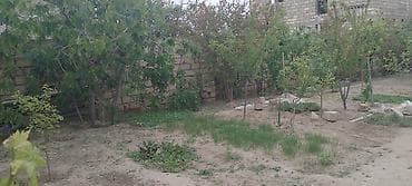 binədə ev: 1 otaqlı, 20 kv. m, Kredit yoxdur, Orta təmir — 8