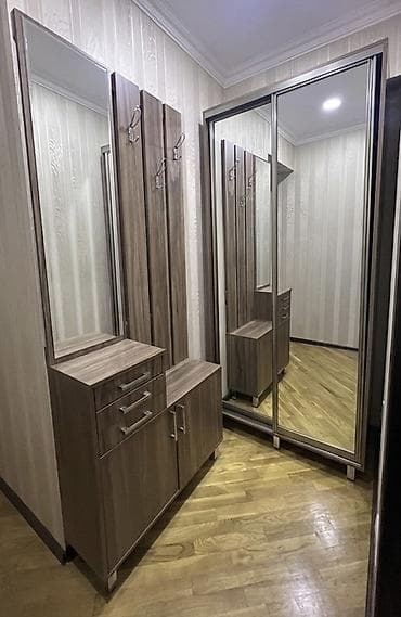 1 qapı, Güzgülü, Qəhvəyi, Digər material, Kupe, Düz dolab