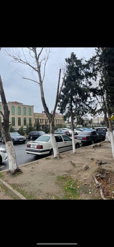 аренда ресторана: Nizami rayonu Babək prospektində,sahəsi 200 kv/m olan, obyekt — 4