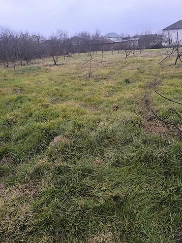 heyet evleri: 10 sot, Tikinti, Mülkiyyətçi — 1