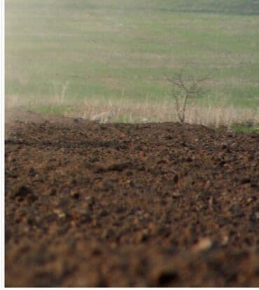 saray qəsəbəsində ucuz torpaqlar: 91 sot, Kənd təsərrüfatı, Mülkiyyətçi, Bələdiyyə — 7